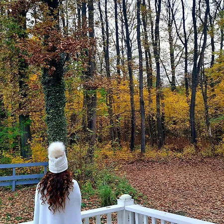 Magnolia Πανσιόν Nagykanizsa