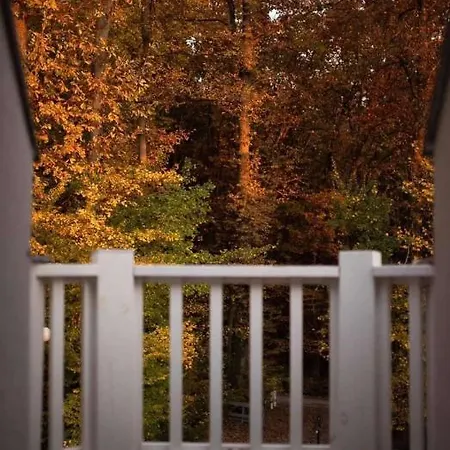 Πανσιόν Magnolia Nagykanizsa