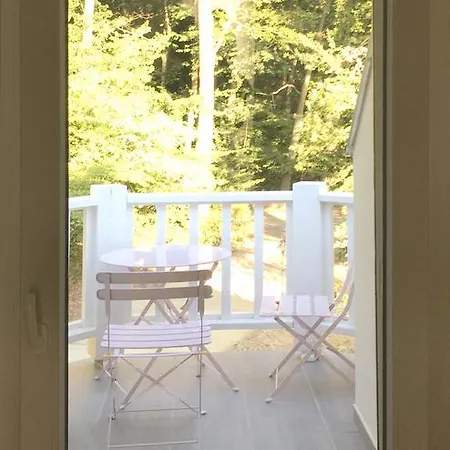 Magnolia 2*