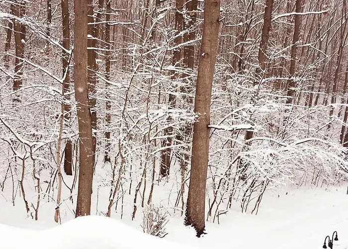 Magnolia 3* Nagykanizsa