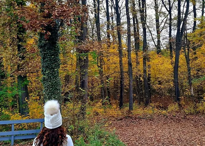 Magnolia Gæstehus Nagykanizsa