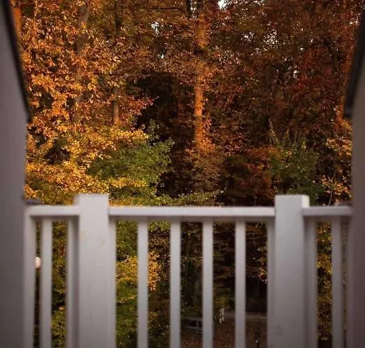 Pensionat Magnolia Nagykanizsa