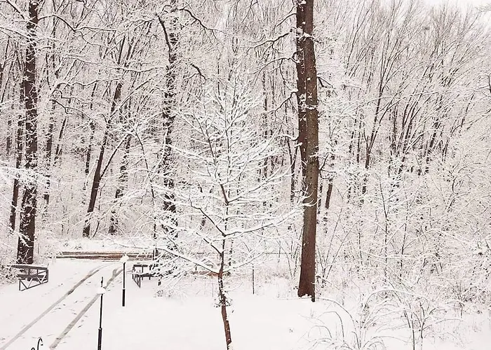 Gæstehus Magnolia 3*