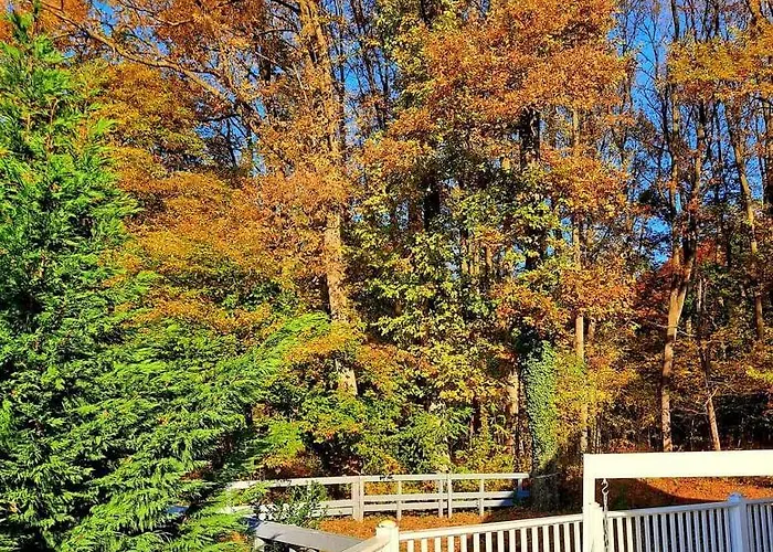 Magnolia Pensionat 3*