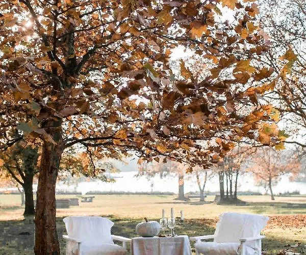 Magnolia بيت ضيافة